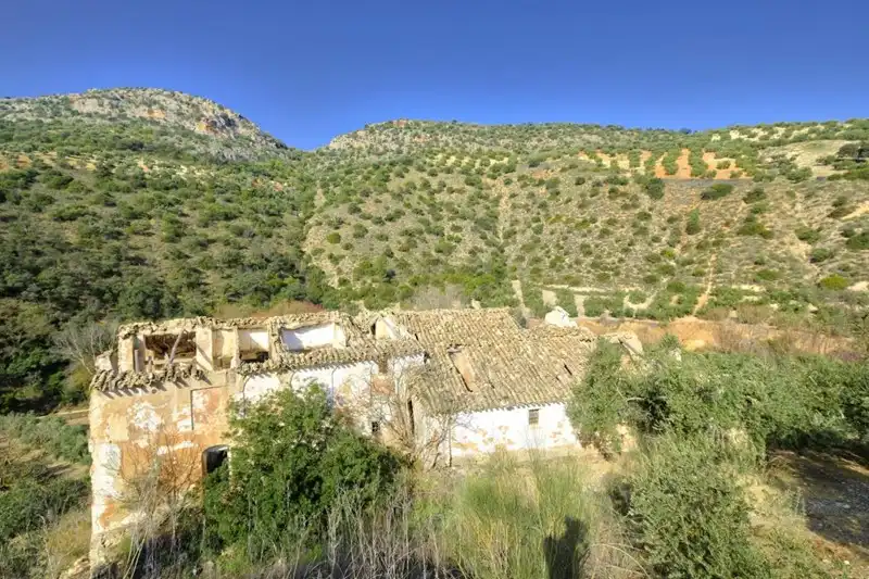 Terreno rústico en venta en Algarinejo, imagen 7