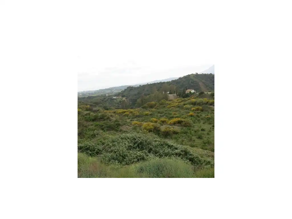 Finca rústica en venta en Estepona