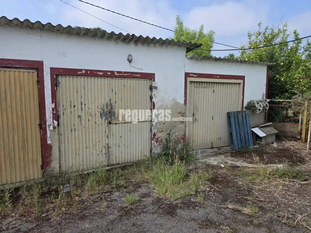 Vista exterior de Casa o chalet en venta en Illas con Calefacción y Jardín privado