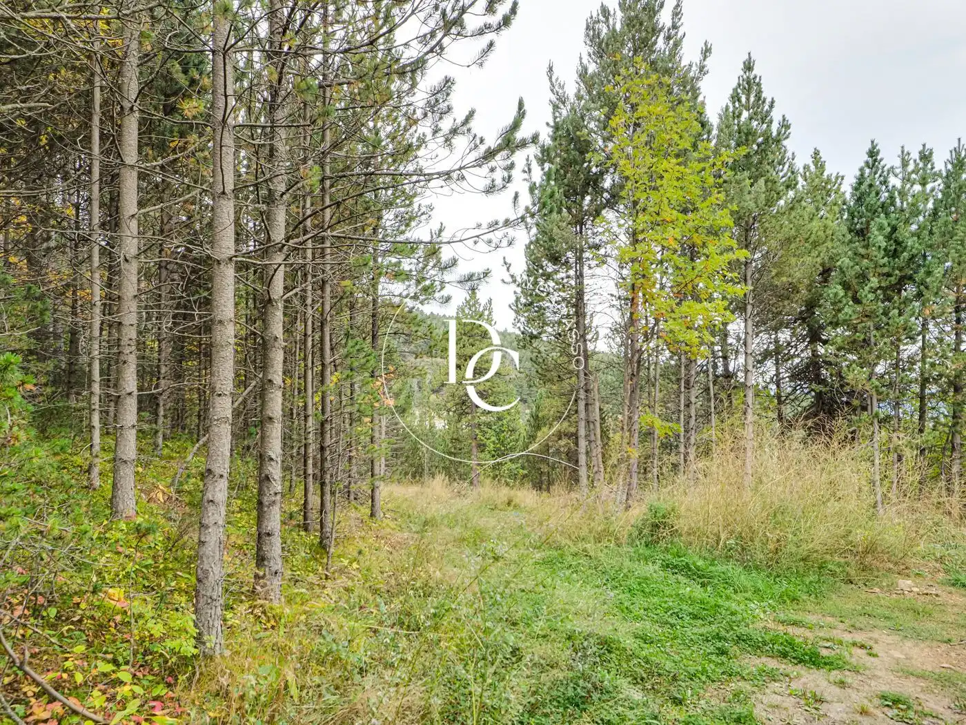 Residential for sale in Alp