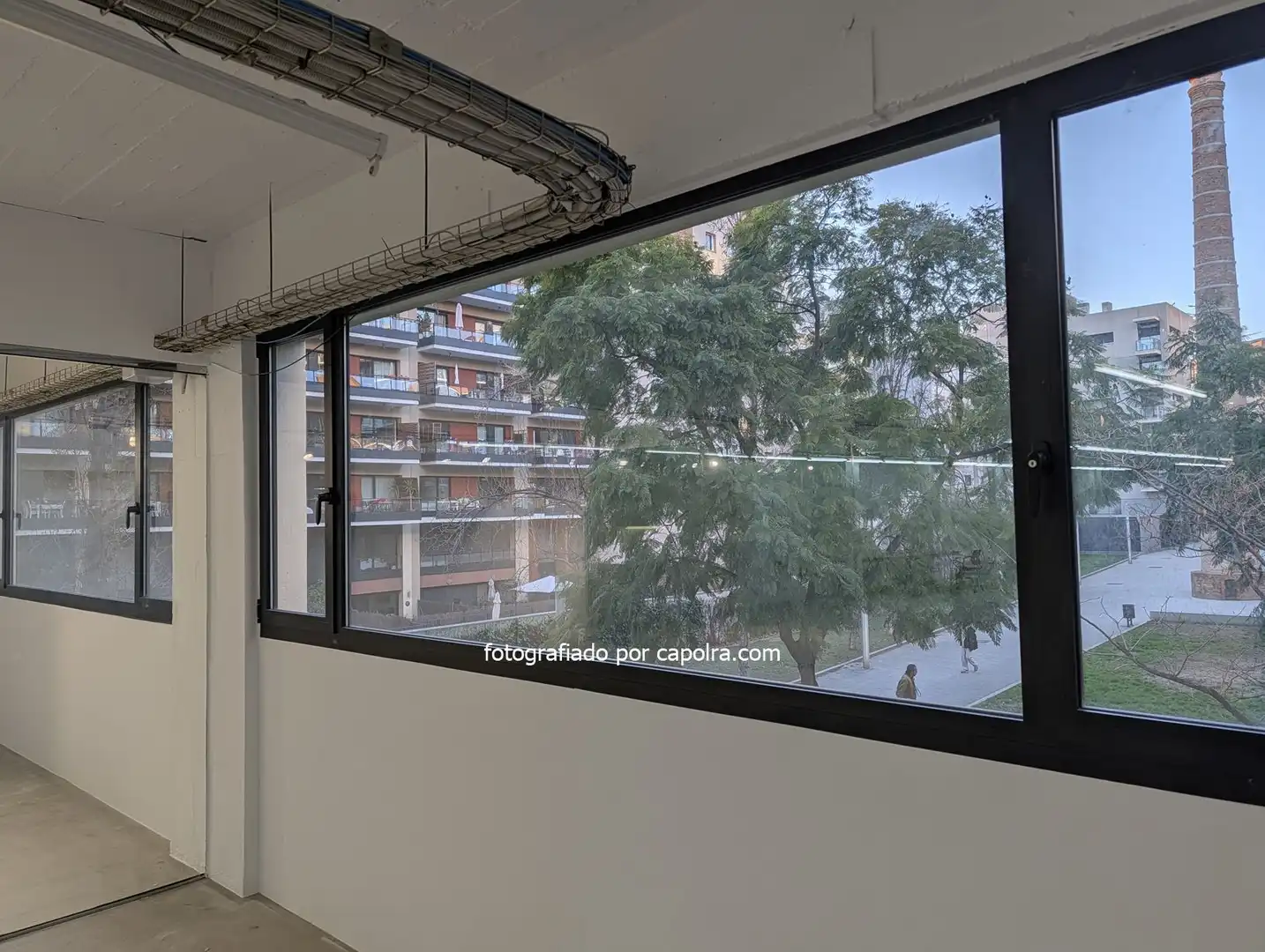 Büro mit Aufzug zur Miete in Ramon Turro, imagen 10
