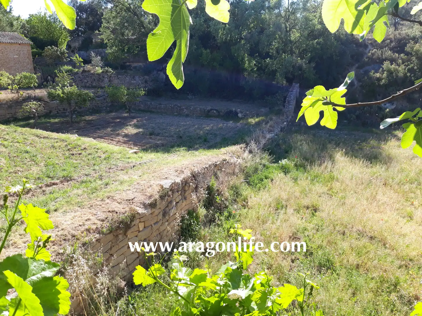Finca rústica en venta en Calaceite