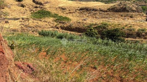 Foto 2 de Terreno en venta en Calle Gc-702, Saucillo - Fagajesto - Juncalillo, Gáldar