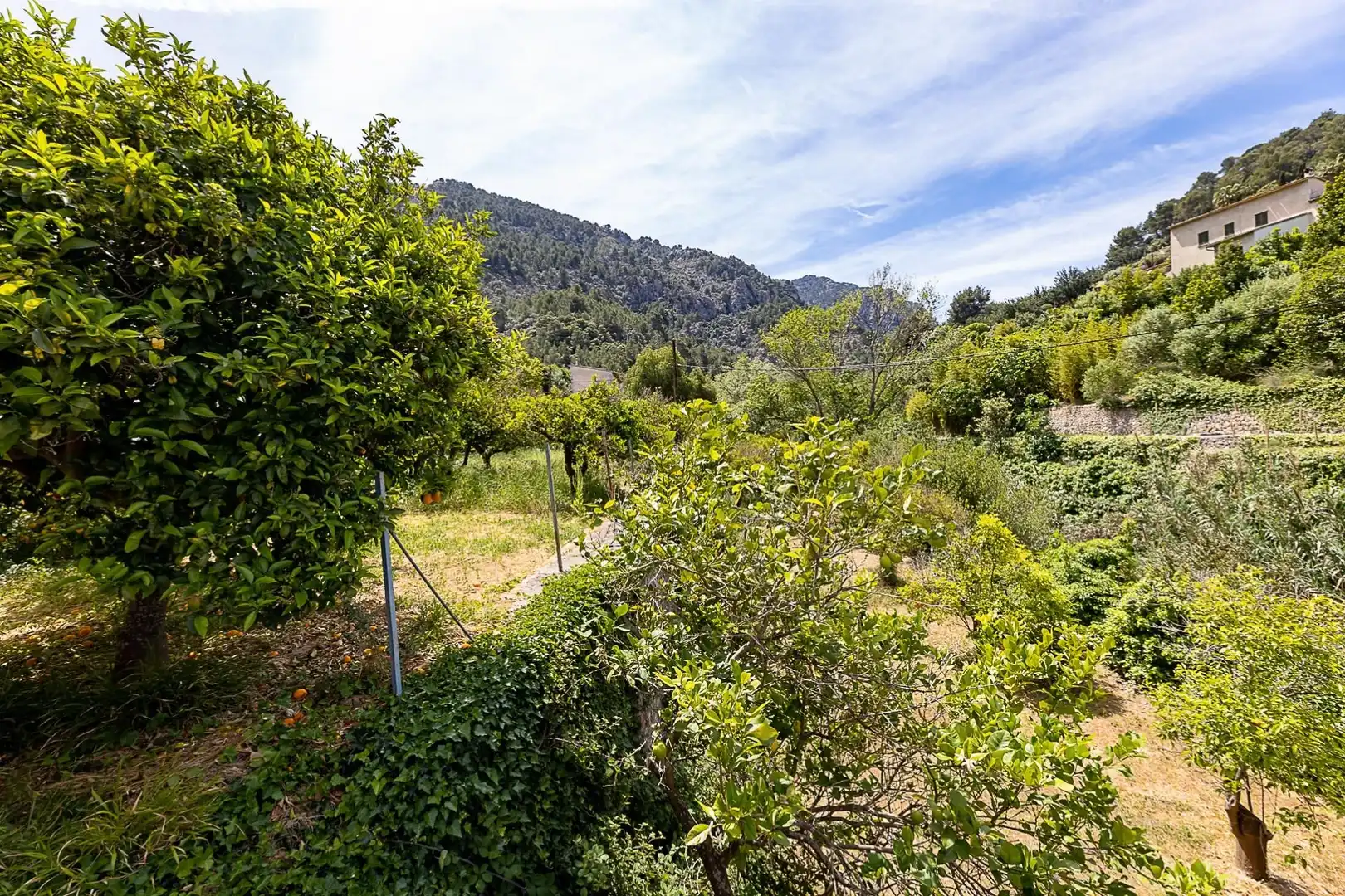 Jardí de Finca rústica en venda en Sóller amb Terrassa