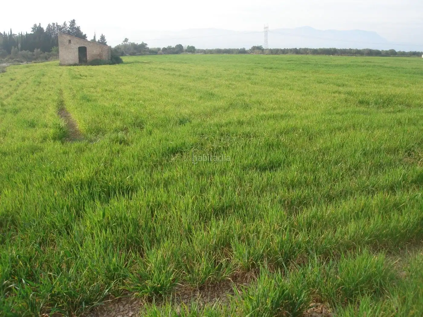 Rural land for sale in Godall, imagen 2