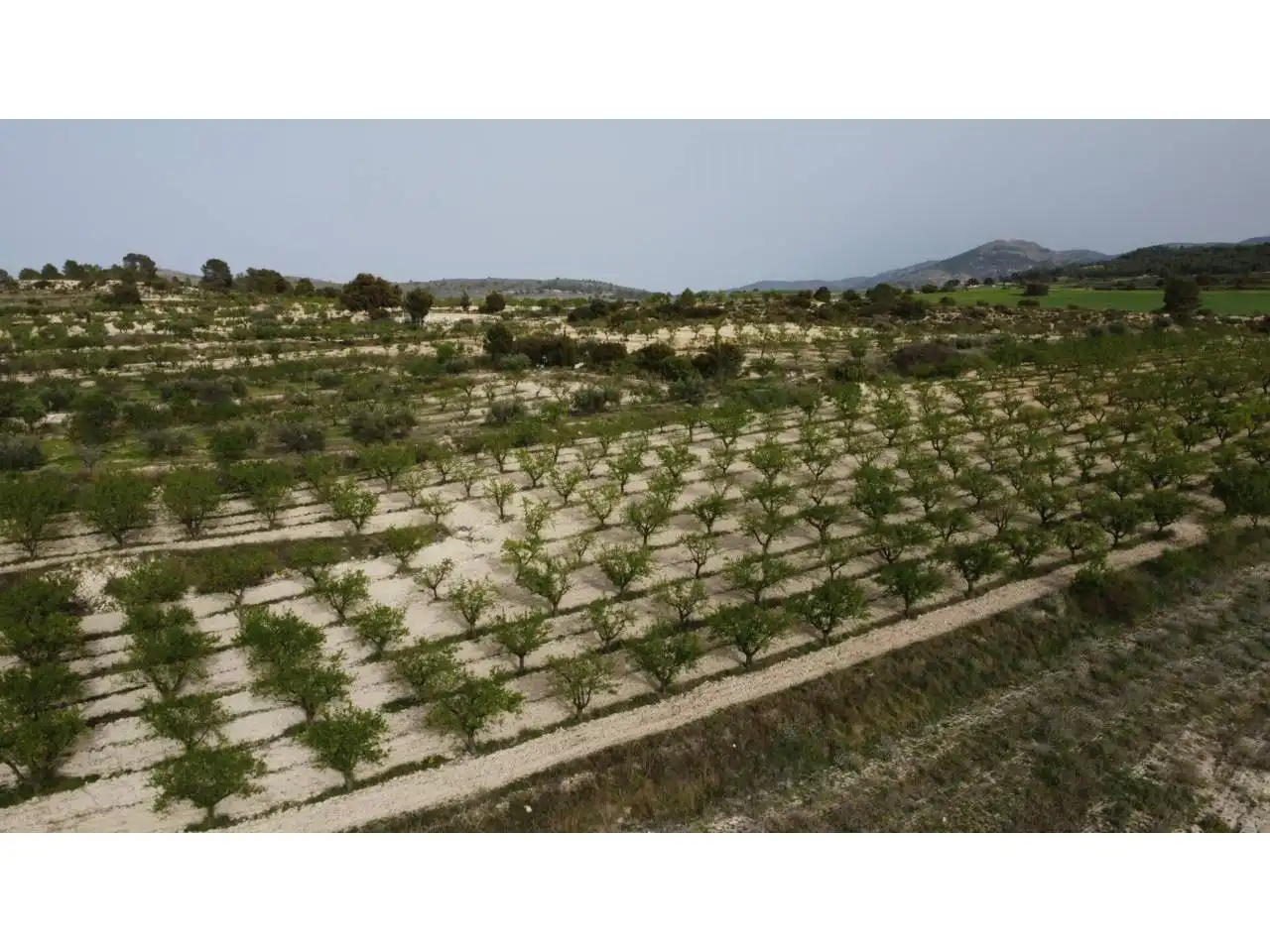 Terreno residencial en venta en Caravaca de la Cruz, imagen 20