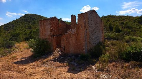 Foto 4 de Finca rústica en venta en Benifallet, Tarragona