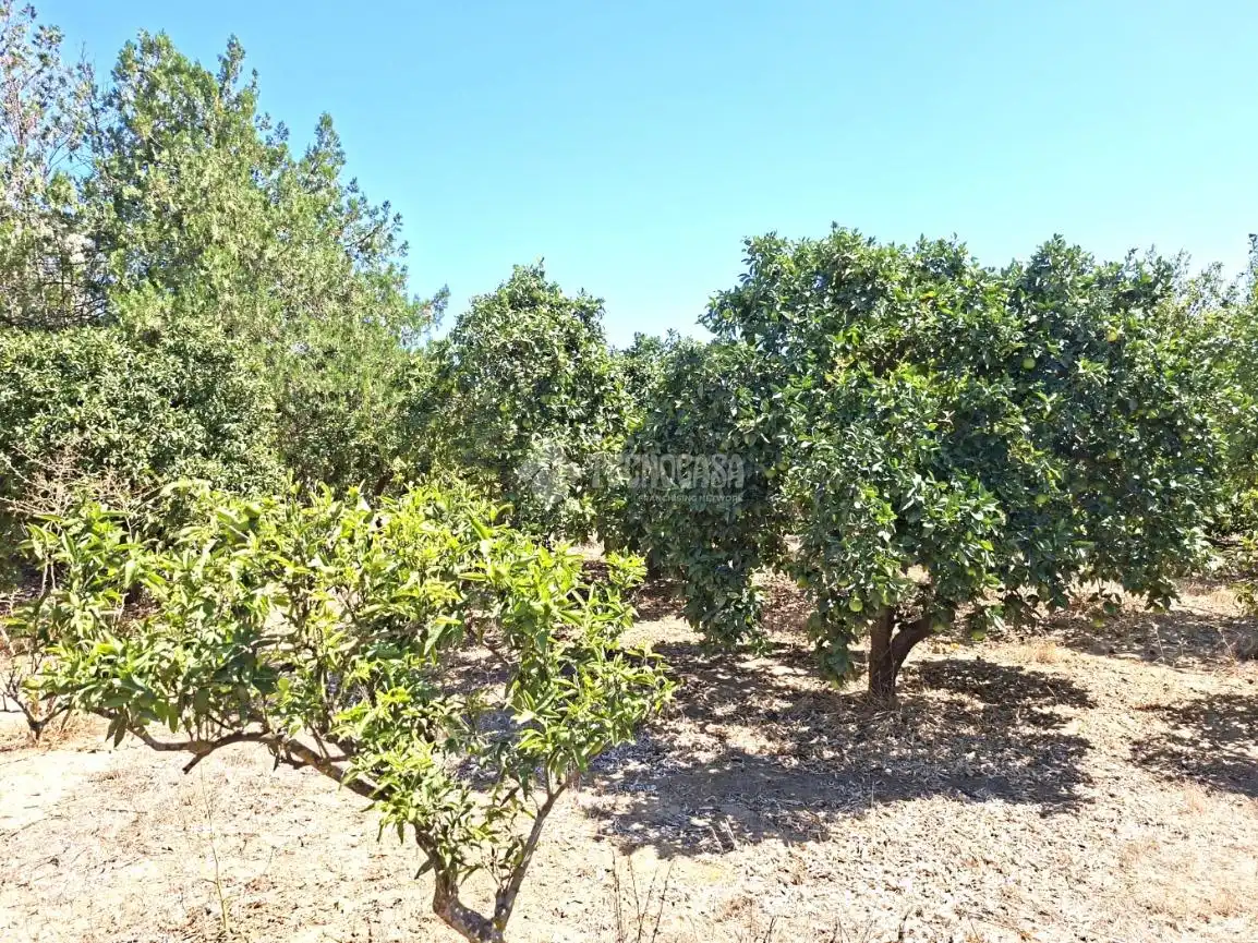 Finca rústica en venta en Almensilla con Trastero