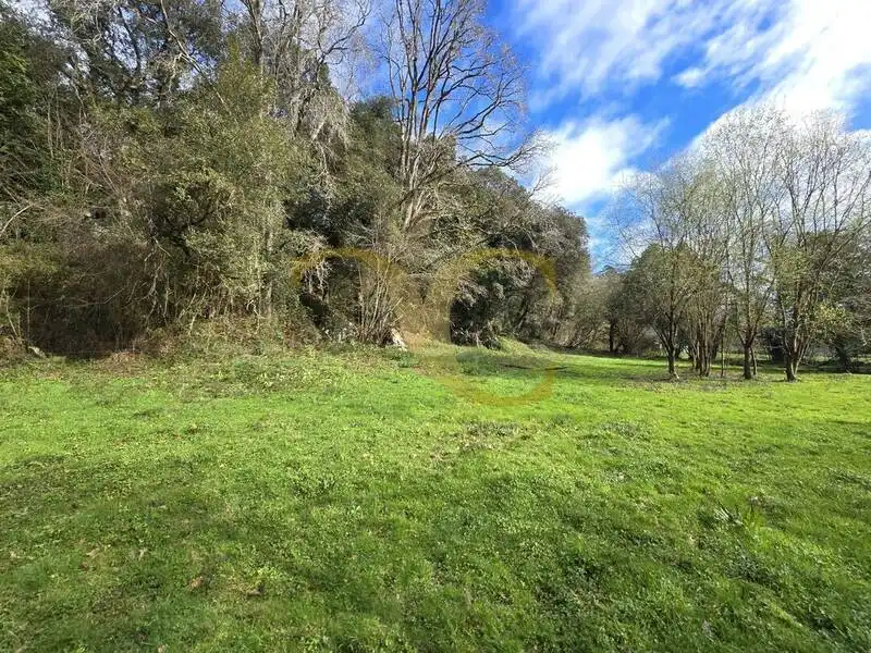 Terreno rustico in vendita a Balmori, imagen 2