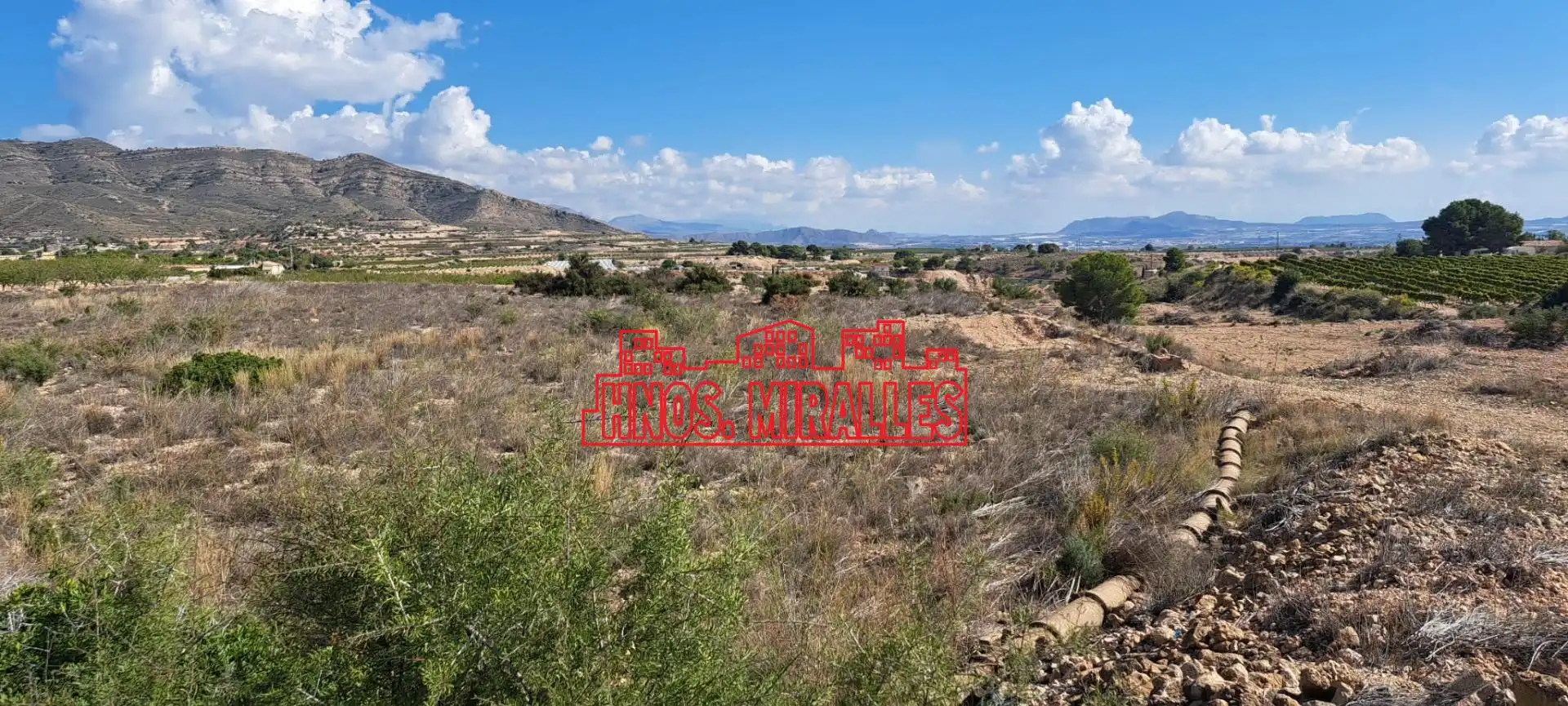 Residential land for sale in Novelda, imagen 2