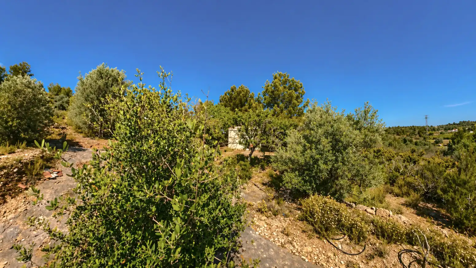 Terreny en venda en Montserrat