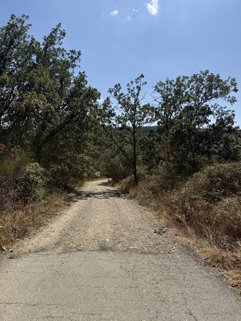 Vista exterior de Terreno en venta en Berzocana