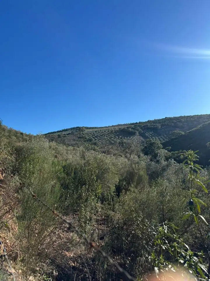 Terreni e lotti in vendita a PELACILLAS, imagen 3