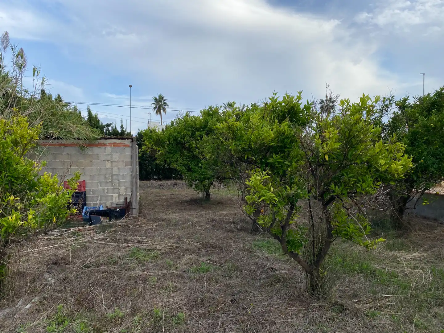 Residential for sale in Nules