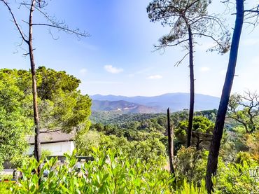 Terreni e lotti in vendita a Serra Brava