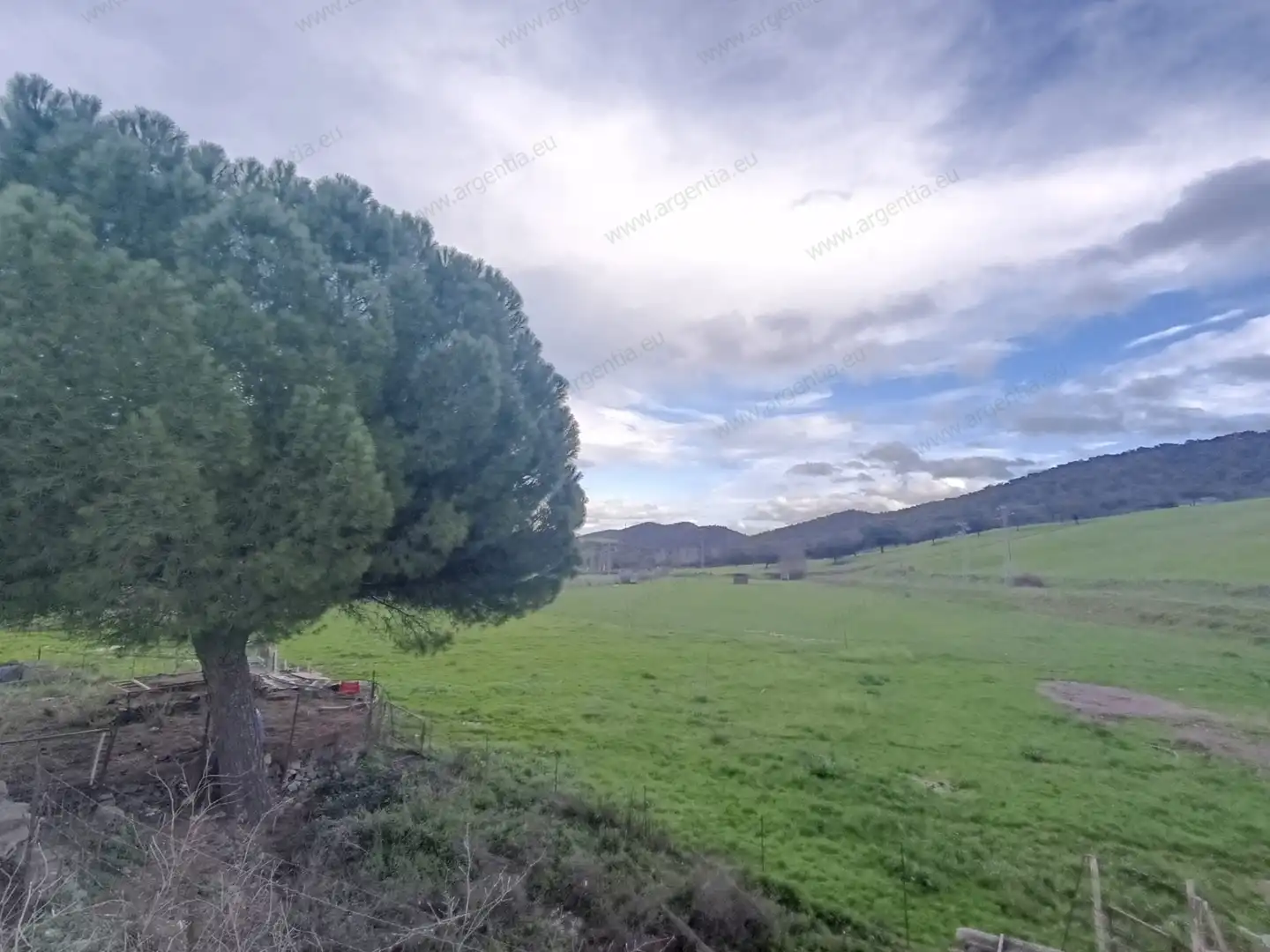 Terreno rustico in vendita a A-8175 17, imagen 2