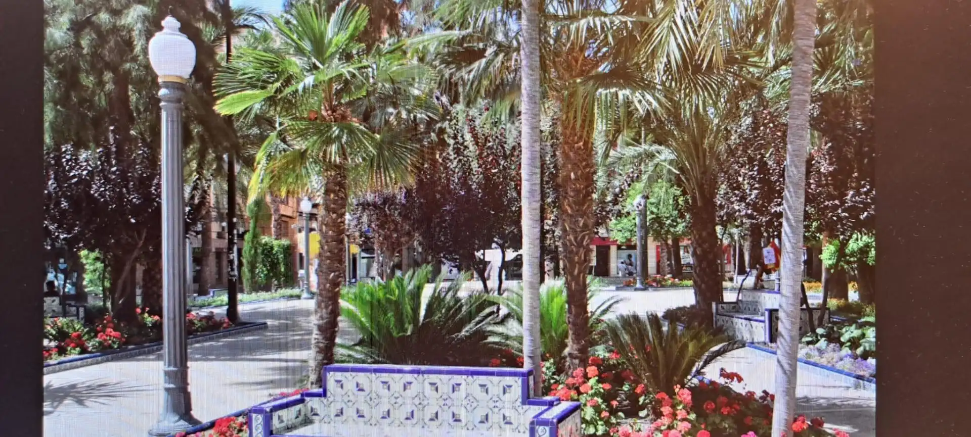 Local commercial en cession à Elche ciudad, imagen 2