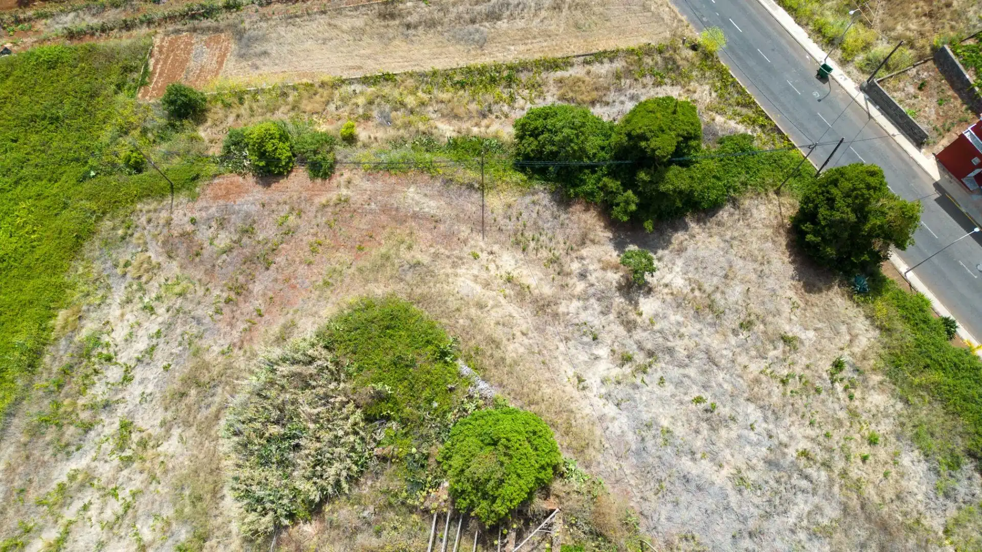 Lands and plots for sale in Tegueste, imagen 18