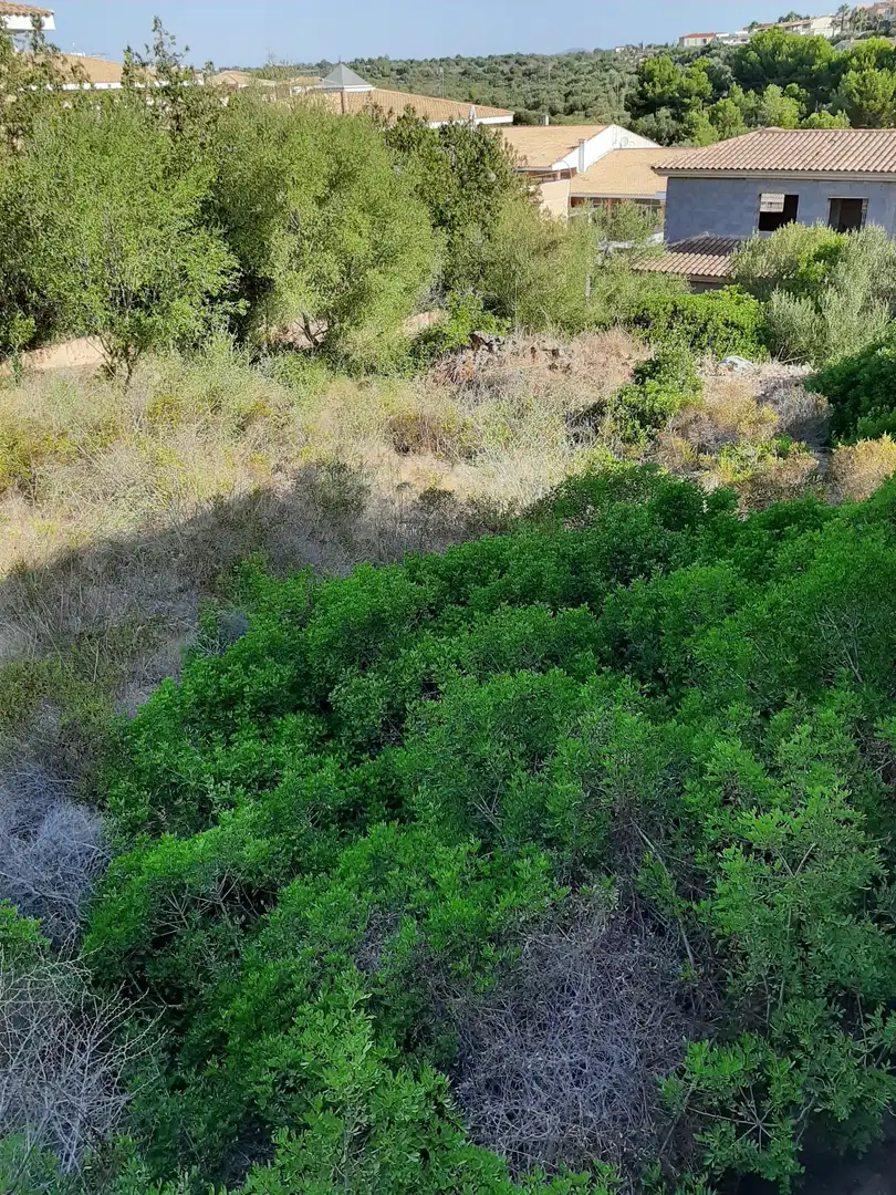Residential land for sale in Carrer de la Punta Reina 57