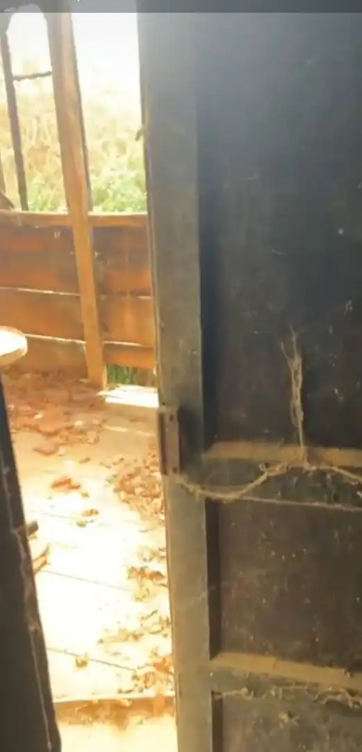 Jardí de Casa o xalet en venda en Salas amb Terrassa i Piscina