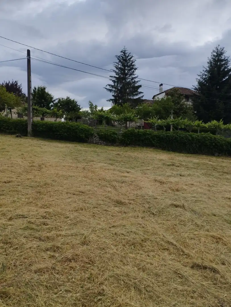 Terrenys i solars en venda a Amoeiro, imagen 3