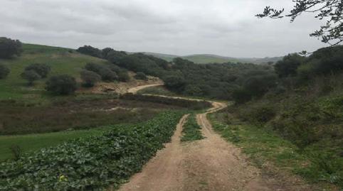 Photo 4 of Land for sale in Sierra del Valle y la Dorada, Fr 15, San José del Valle, Cádiz