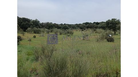 Foto 5 de Casa o chalet en venta en Trujillo, Cáceres