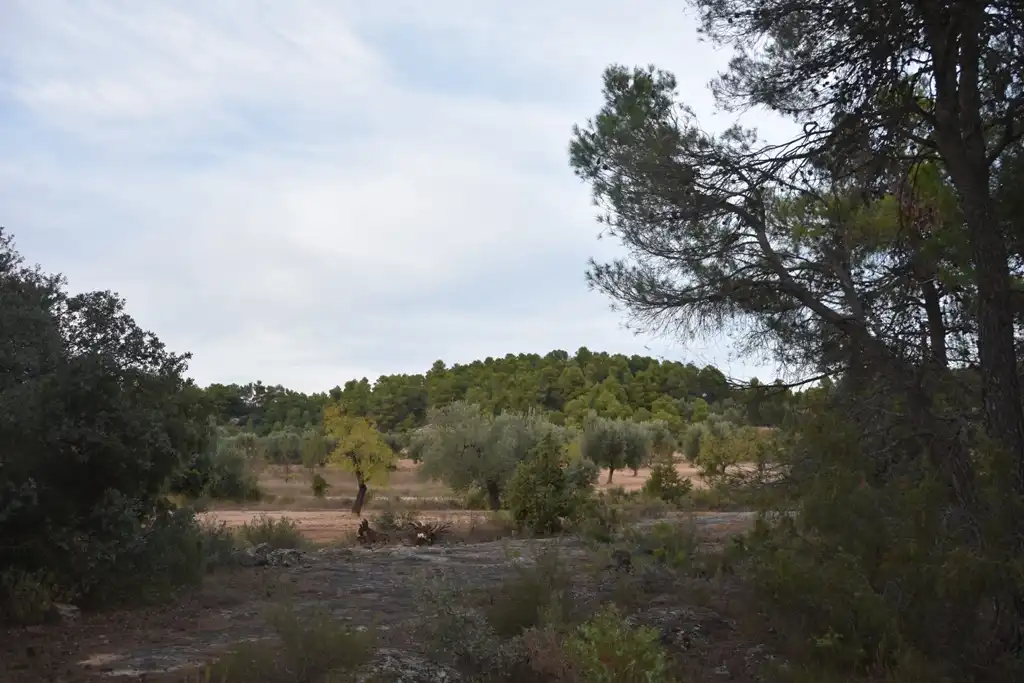 Terreni e lotti in vendita a Valderrobres, imagen 4