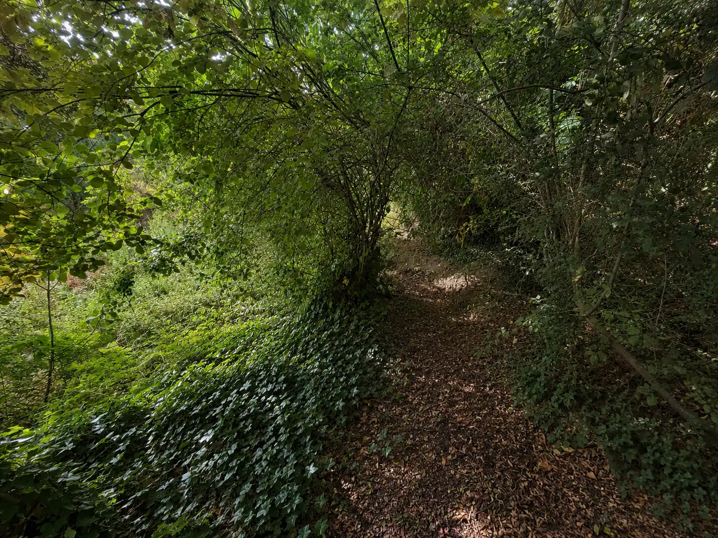 Vista exterior de Finca rústica en venta en Víznar con Jardín privado, Terraza y Trastero