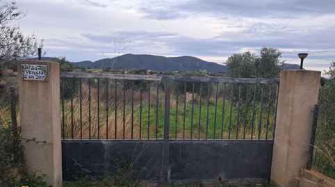 Finca rústica edificable en Son Servera  Mallorca