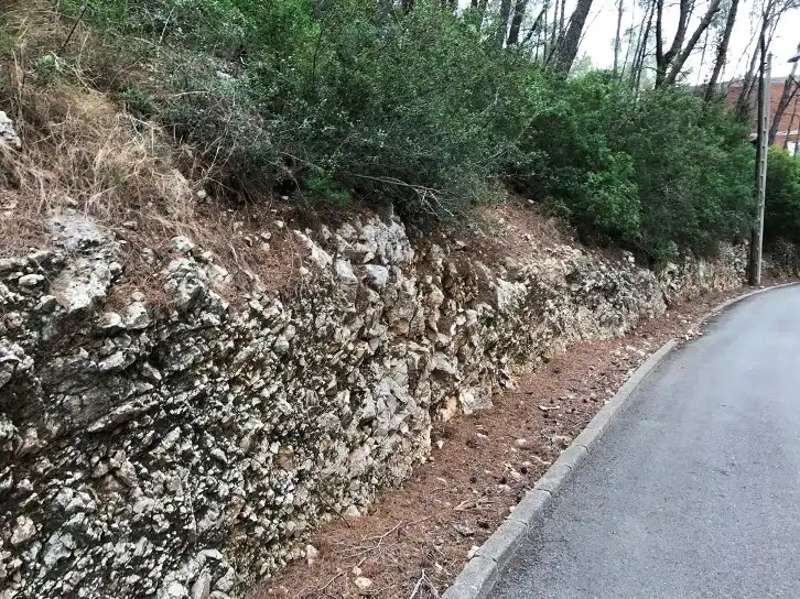 Terrain rustique à vendre à C/ Sorolla, imagen 11