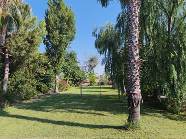 Casa amb piscina en venda a Arroyo de San Serván