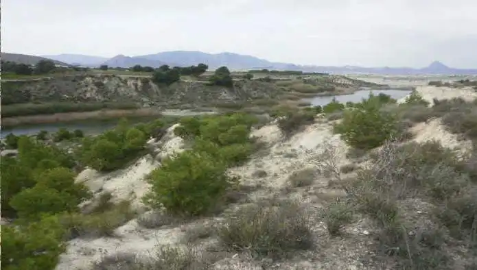 Rustikales Grundstück zum Verkauf in Paraje Carrasquilla