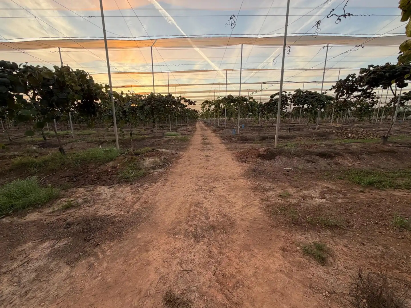 Finca rústica en venda en Urbanizaciones  