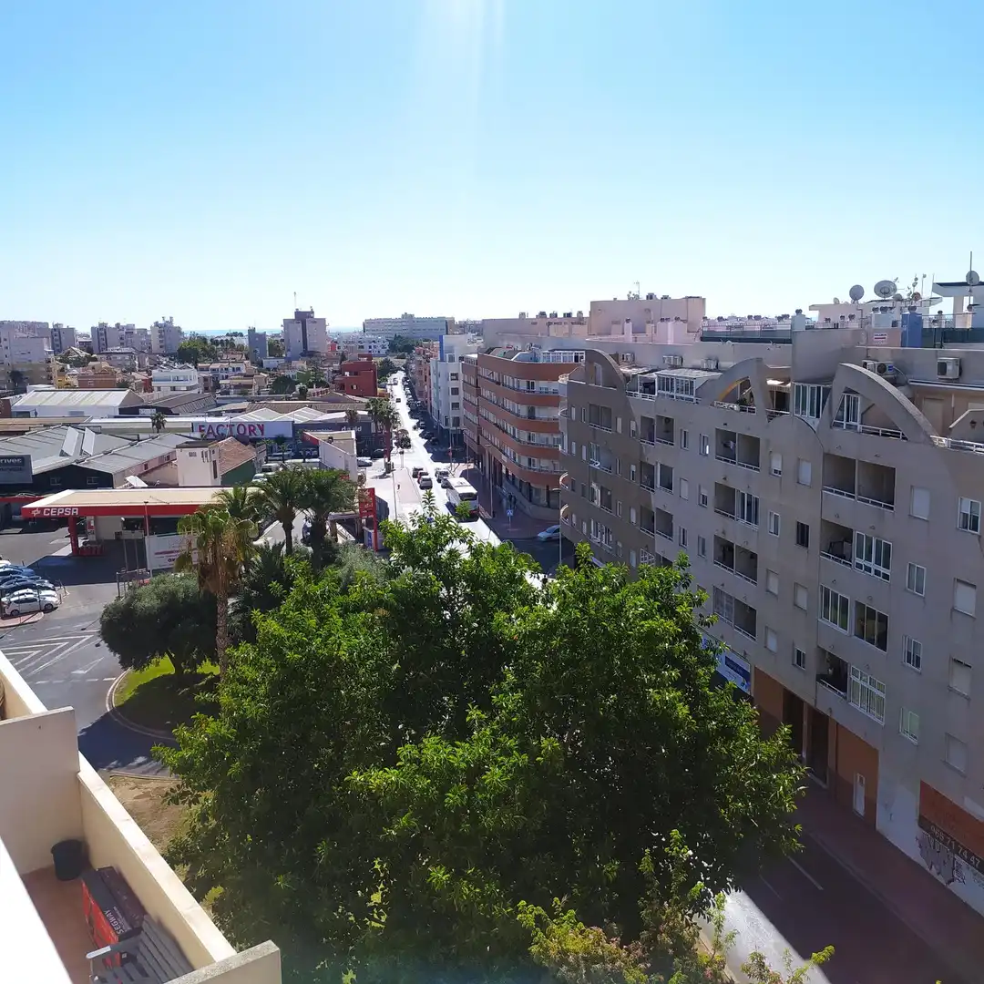 Flat with terrace for sale in Nueva Torrevieja - Aguas Nuevas, imagen 32