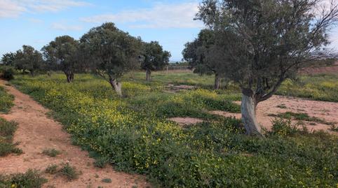 Foto 2 von Grundstücke zum Verkauf in Pasaje Los Barberos, 8, La Aljorra, Cartagena