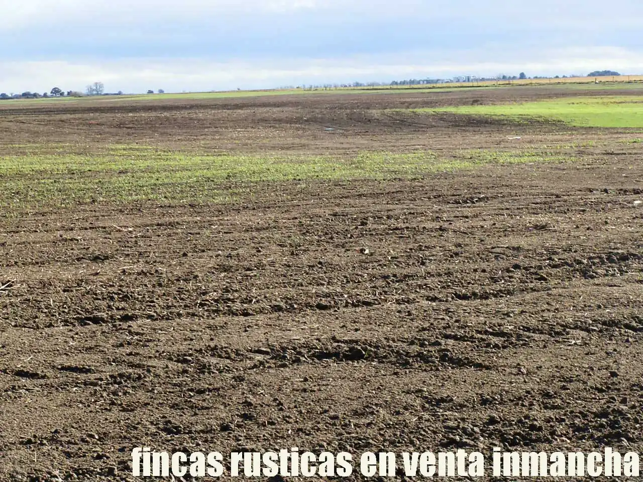 Terreni e lotti in vendita a Las Mesas, imagen 8