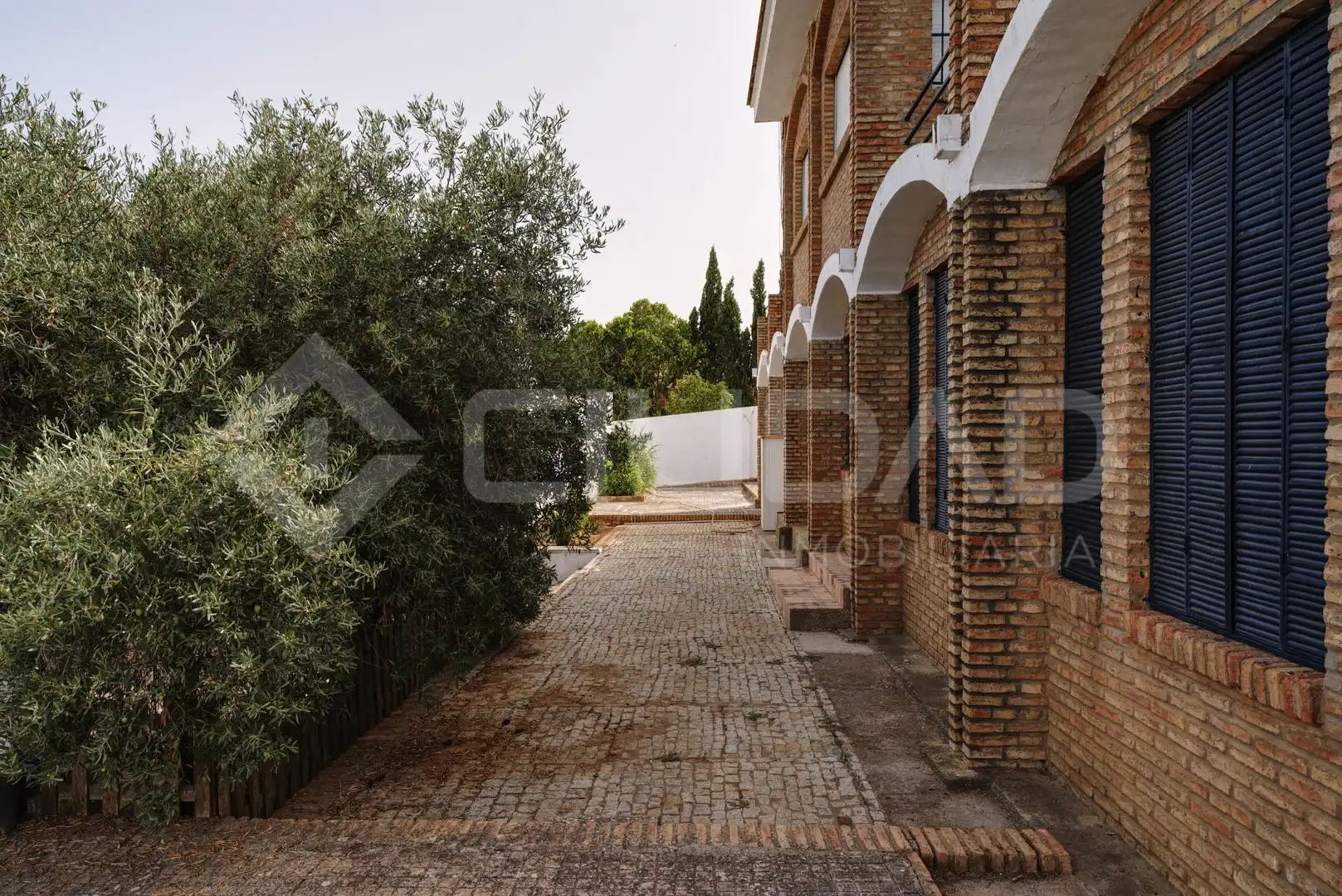 Jardí de Casa o xalet en venda en El Viso del Alcor