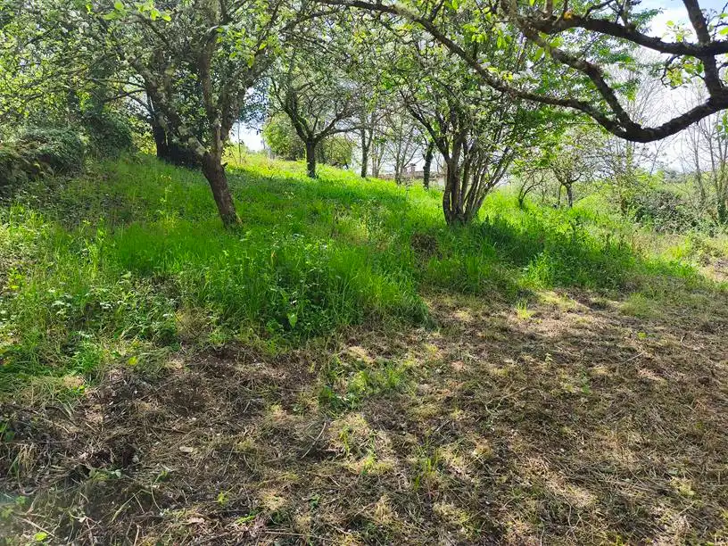 Casa o chalet en venta en Salas con Amueblado