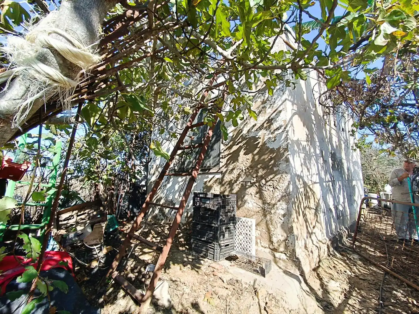 Terreni e lotti in vendita a El Juncal - Vallealto, imagen 13