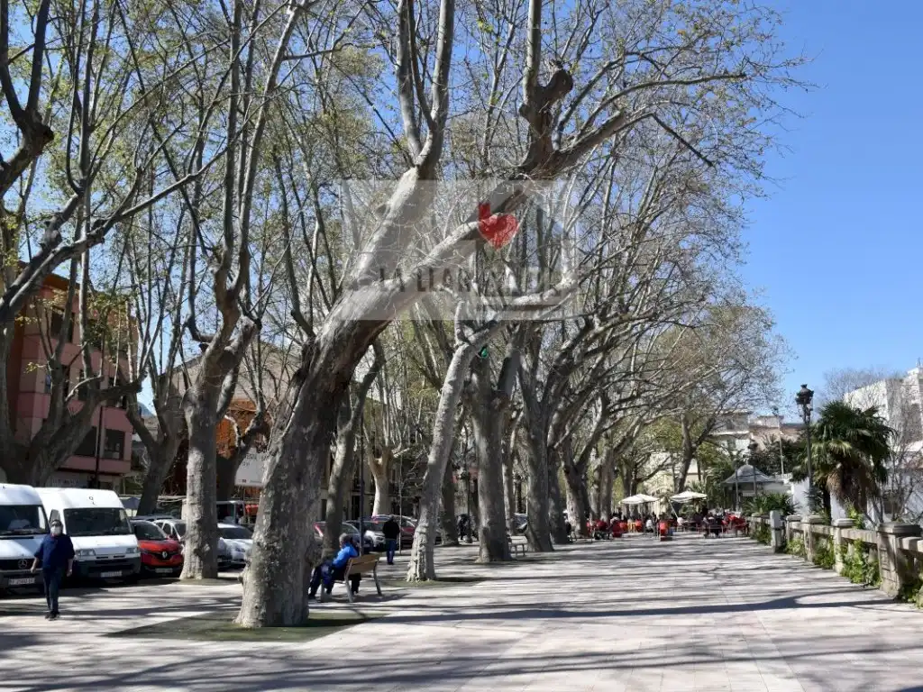 Gewerbefläche zur Miete in Xàtiva, imagen 6