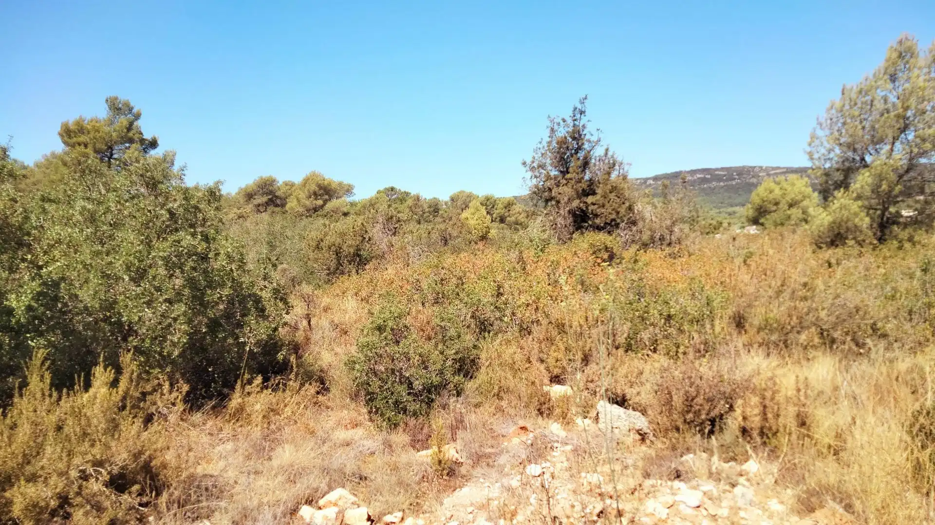 Terrenys i solars en venda a Querol, imagen 2
