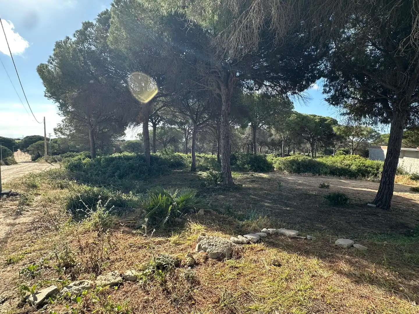 Rural land for sale in Las Lagunas - Campano