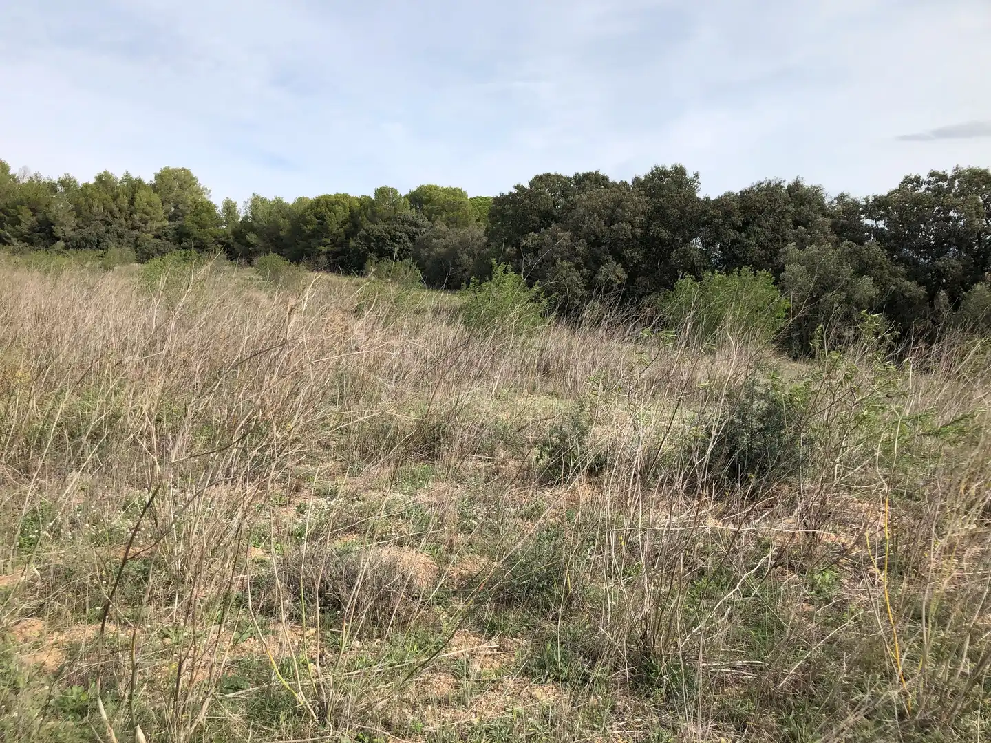 Terreno rústico en venta en Partida Alborada 1, imagen 17
