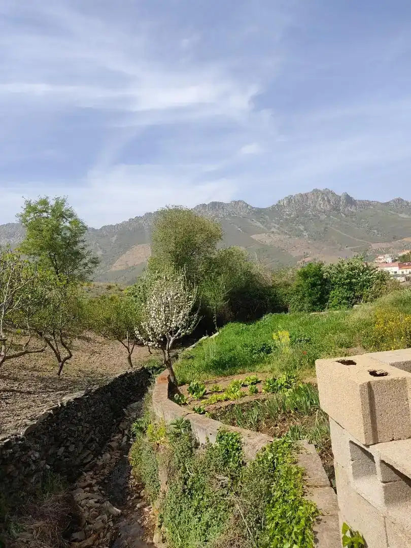 Piso en venta en Navalvillar de Ibor con Jardín privado