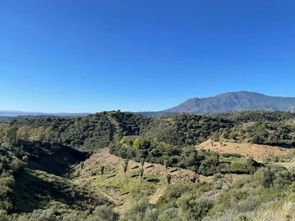 Exterior view of Residential for sale in Estepona