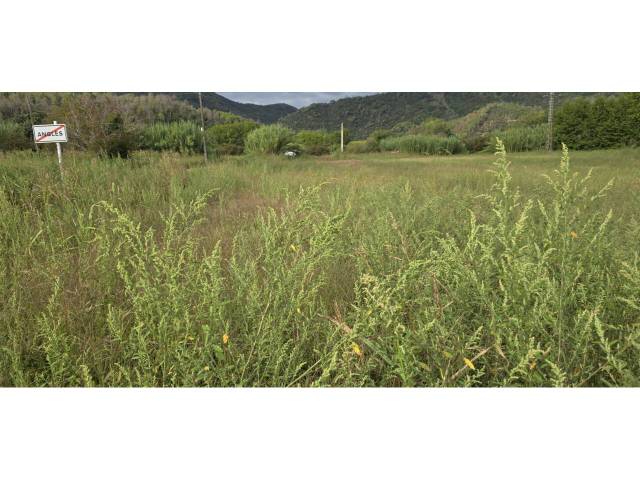 Terreno en Venta en Anglès