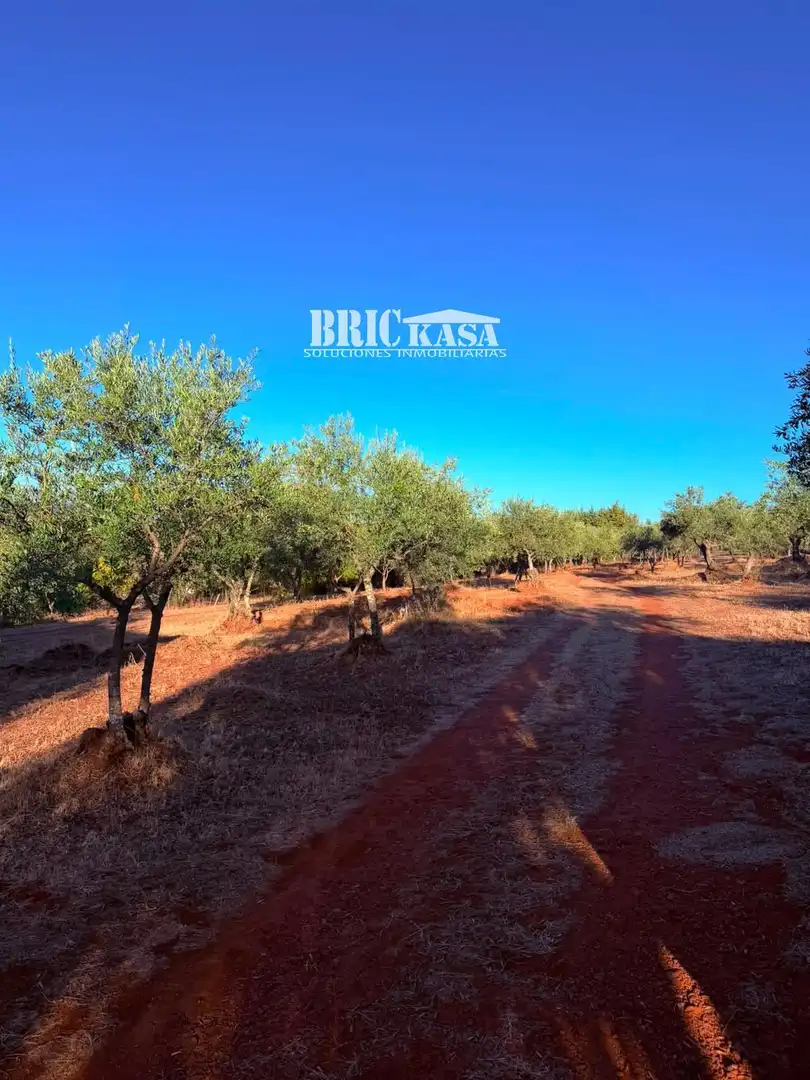 Casa o chalet en venta en Cáceres con Trastero, Piscina y Amueblado