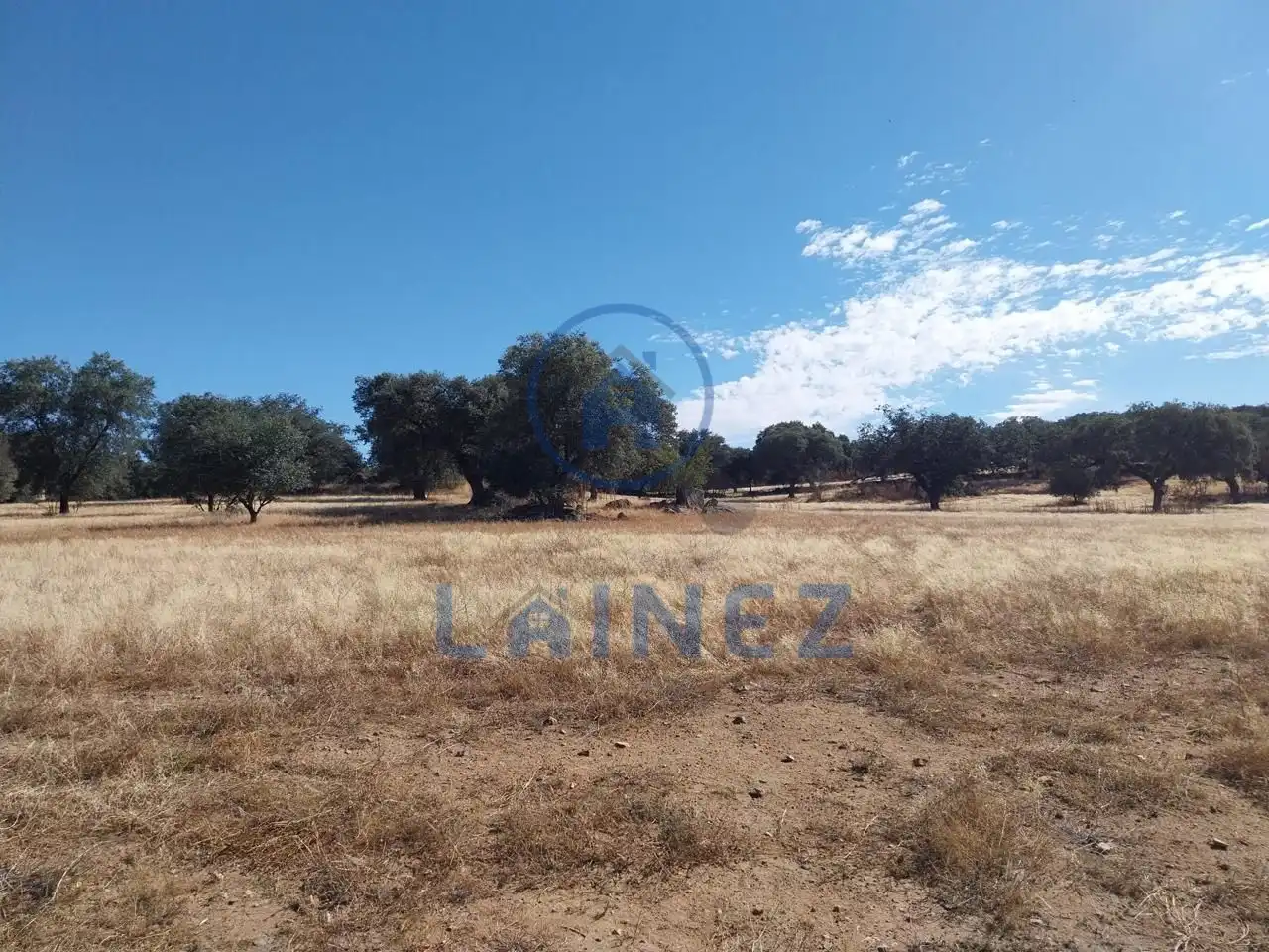 Lands and plots for sale in Fuente Obejuna, imagen 12
