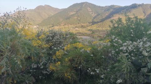 Photo 3 of Land for sale in Santiago del Teide pueblo, Santa Cruz de Tenerife